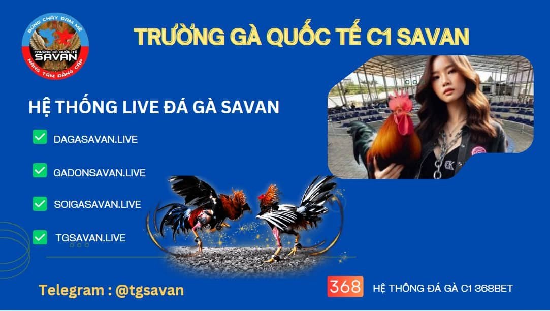 trang web trực tiếp Trường Gà Savan