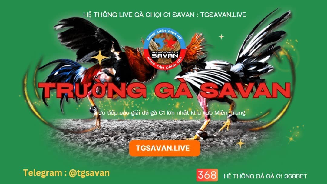Trường Gà Savan TRỰC TIẾP GÀ CHỌI C1