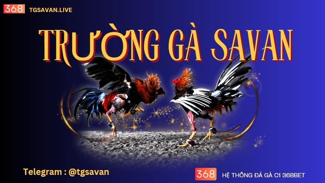 Trực tiếp Đá Gà C1 Savan
