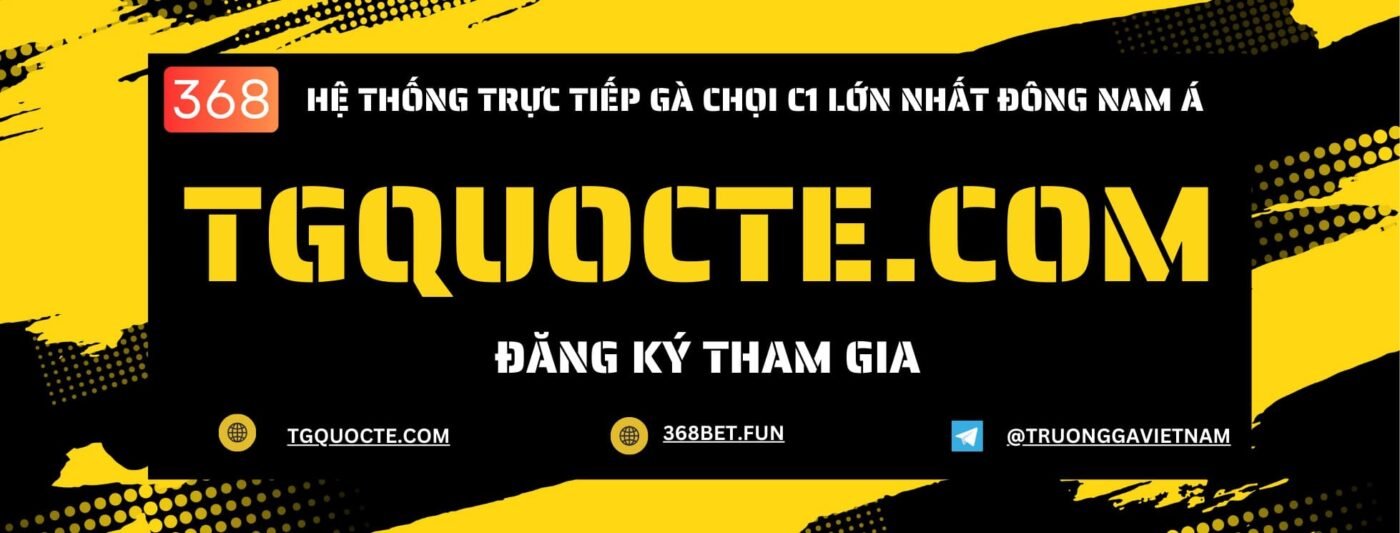 hệ thống gà chọi c1 